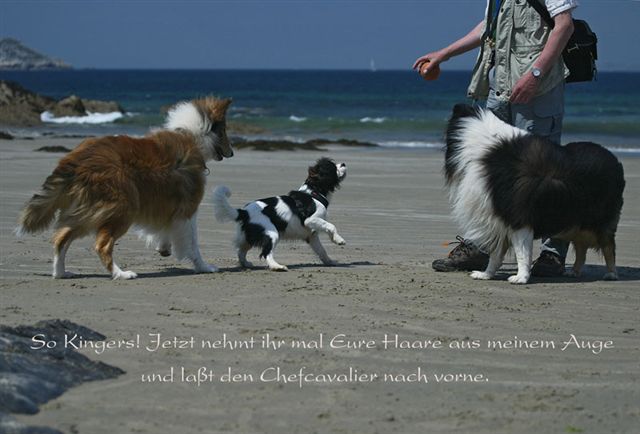 Kalle Bildergeschichte 01k