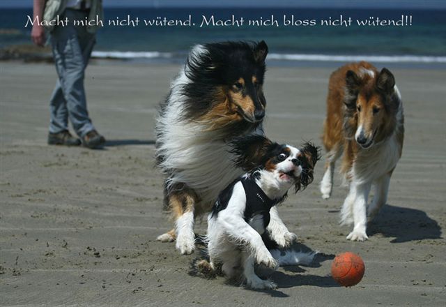 Kalle Bildergeschichte 03k