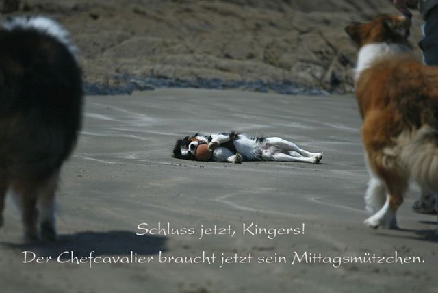 Kalle Bildergeschichte 05k