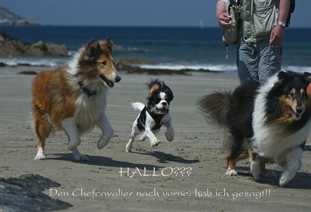 Kalle Bildergeschichte 2k