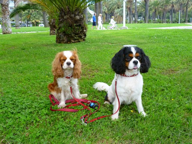 Olivia u.cora Lee (3)