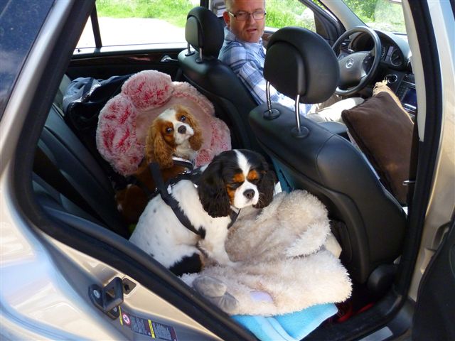 Olivia u.cora Lee (4)