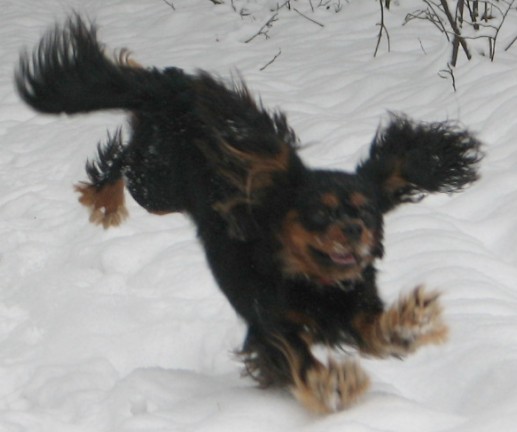 Pepsi beim Wettrennen