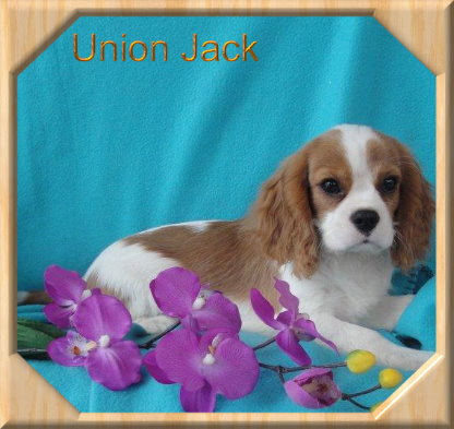 Union Jack