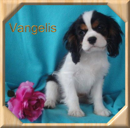 Vangelis