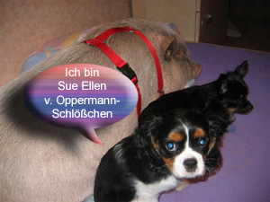 bilderbuch-sue-ellen1