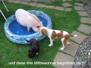 bilderbuch-sue-ellen2