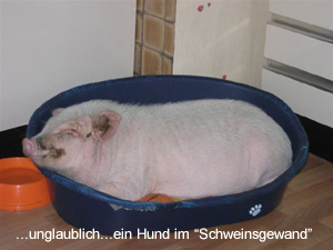 bilderbuch-sue-ellen3