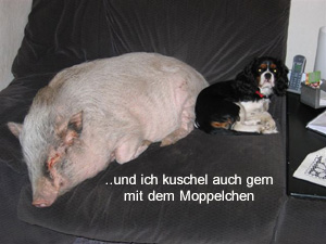 bilderbuch-sue-ellen5