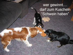 bilderbuch-sue-ellen6