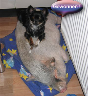 bilderbuch-sue-ellen7