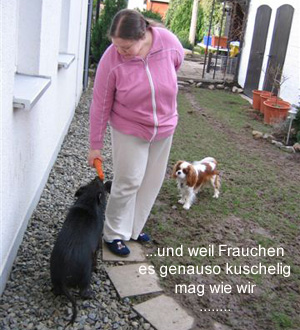 bilderbuch-sue-ellen8