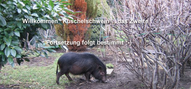 bilderbuch-sue-ellen9