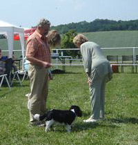 pritzhagen_nora-noblesse