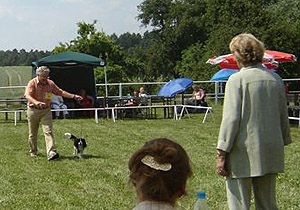 pritzhagen_nora-noblesse2