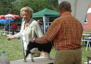 pritzhagen_nora-noblesse3