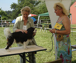 pritzhagen_wilhelm-tell2