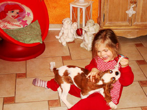 soraya-bildergeschichte1