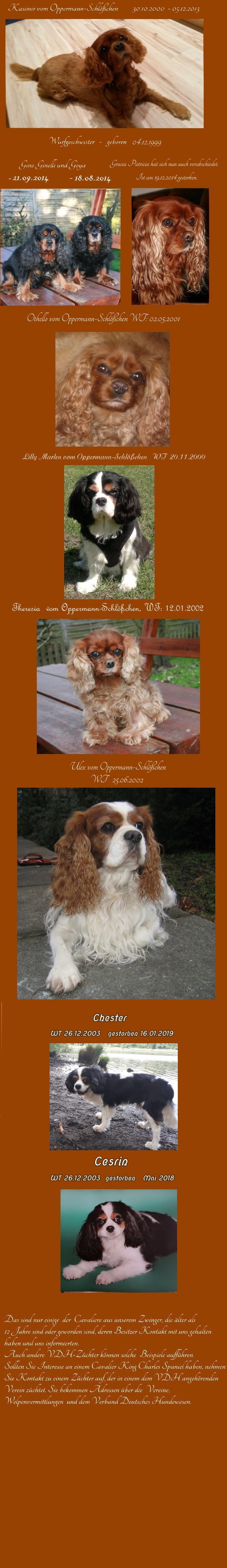 wie_alt_kann21012019